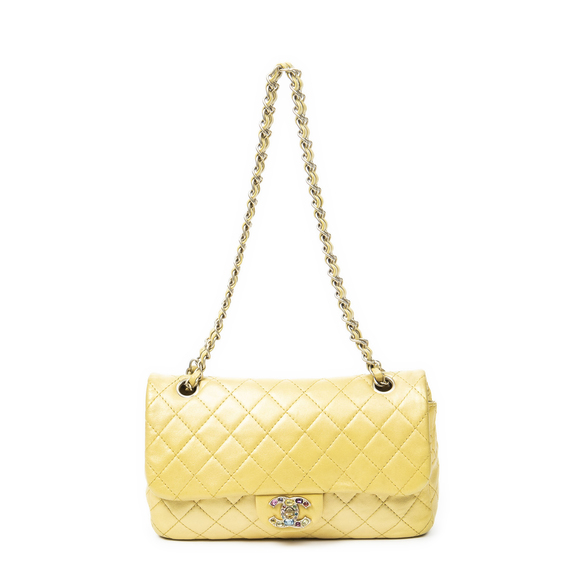 Chanel Medium Precious Jewel Flap - Picture 1 of 9